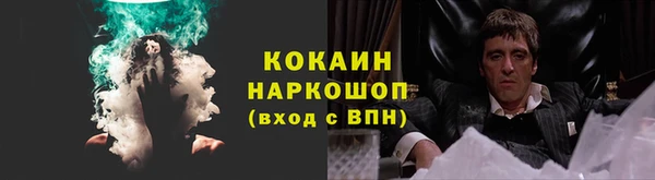 PSILOCYBIN Алексеевка