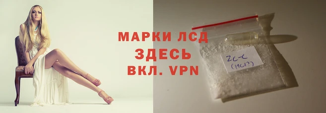 скорость Алзамай