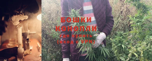 PSILOCYBIN Алексеевка