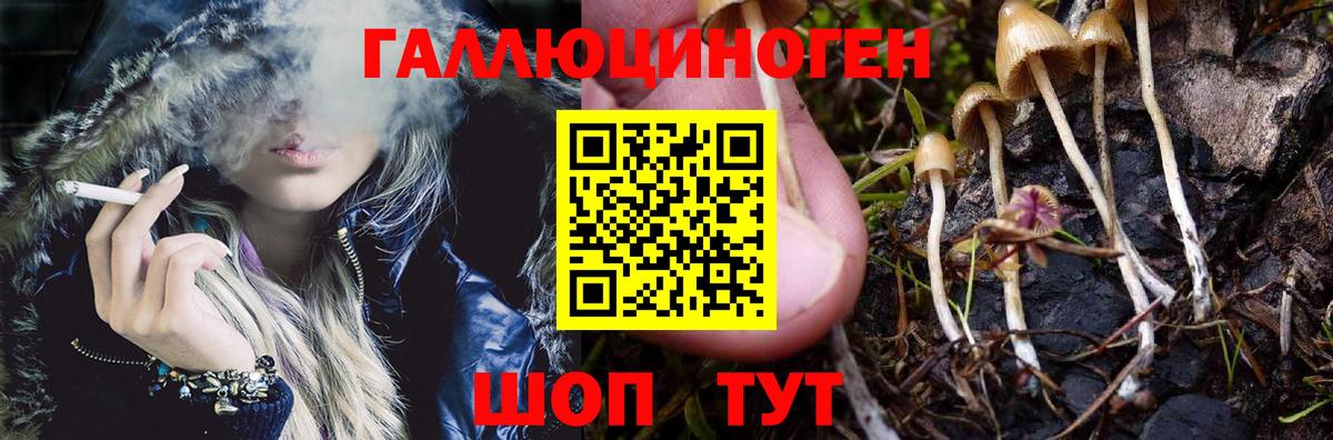 Сочи  Галлюциногенные грибы Psilocybe  Галлюциногенные грибы MAGIC MUSHROOMS  Вход с VPN 